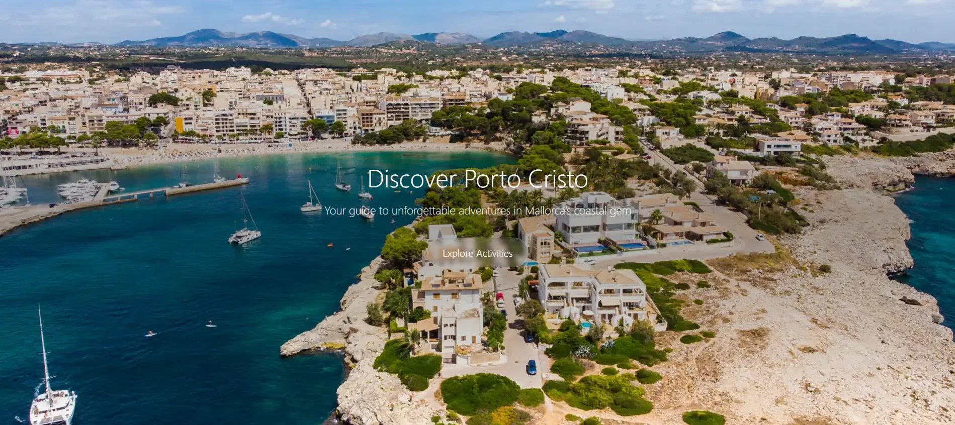 Projet portfolio montrant la croissance de l'entreprise 8